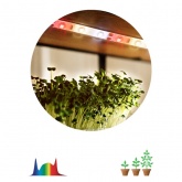 Светодиодная лента для растений ЭРА FITO-Strip Light-Ra90-3m 27W 12V IP65 полного спектра + адаптер