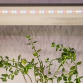 Светодиодная лента для растений FITO-Strip Light-Ra90-300LED-5m-12V-IP65 45W полного спектра адаптер