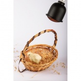 Светильник для террариумов и брудеров ЭРА FITO-E27-SHADE с защитной решеткой IP20