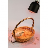 Светильник для террариумов и брудеров ЭРА FITO-E27-SHADE с защитной решеткой IP20