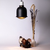 Светильник для террариумов и брудеров ЭРА FITO-E27-SHADE с защитной решеткой IP20