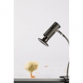 Светильник для террариумов и брудеров ЭРА FITO-E27-FLEX-CLIP max 250W на прищепке IP20