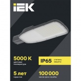 Консольный светодиодный светильник ИЭК LED ДКУ 1004-200Ш 200W 5000K IP65 серый d60mm