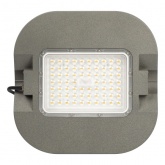 Светильник светодиодный садово-парковый ЭРА SPP-505-0-30K-050 50W 3000K 7000Lm IP65 КСС Д серый