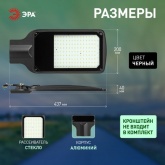 Консольный светодиодный светильник ЭРА SPP-504-0-50K-100 100W 5000K 10000Lm IP65 КСС Д DOB SMD 48мм