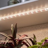 Светильник светодиодный для растений ФИТО ЭРА Т5 10W Ra90 Slim полного спектра 528x22x14mm