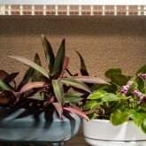 Светильник светодиодный для растений ФИТО ЭРА Т5 10W Ra90 Slim полного спектра 528x22x14mm