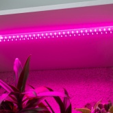 Светильник светодиодный для растений ФИТО ЭРА Т5 10W RB Slim красно синего спектра 528x22x14mm