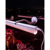 Светильник светодиодный для растений ФИТО ЭРА 18W PFR GR полного спектра 573x22x34,5mm