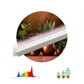 Светильник светодиодный для растений ФИТО ЭРА 18W Ra90 полного спектра 573x22x34,5mm