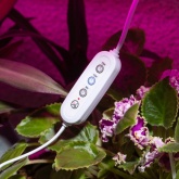 Таймер для фитосветильника ЭРА FITO-LINETIME 2-pin 9/12/15 H с проводом 1,5 м, мощность до 150W