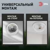 Светильник ЖКХ ЭРА НБП 06-60-001 Сириус поликарбонат ПРИЗМА под лампу 60W с цоколем Е27 205869