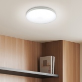 Светильник потолочный светодиодный ЭРА SPB-6 Relict 48 60W 3000-6500K RC опал белый с ДУ