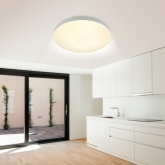 Светильник потолочный светодиодный ЭРА SPB-6 Relict 48 60W 3000-6500K RC опал белый с ДУ