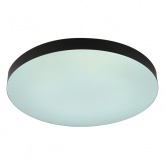 Светильник потолочный светодиодный ЭРА SPB-6 Relict 48 60W 3000-6500K RC опал черный с ДУ