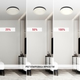 Светильник потолочный светодиодный ЭРА SPB-6 Relict 48 60W 3000-6500K RC опал черный с ДУ