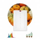 Квантум борд ЭРА FITO-160W-LED-QB Quantum board фитопрожектор полного спектра 160W 3500K IP67