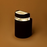 Настенный светильник ЭРА Адрия GBW-102-BL-0160 max 30W 230V 1xGU10 IP54 160x100x95mm