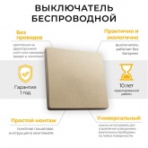 Выключатель дистанционного управления 1-клавишный Feron TM81 (не требует питания) золото