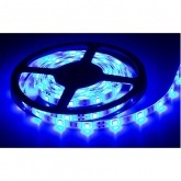Светодиодная лента 12V SMD-5050 30LED-7,2W/m 10mm синяя (5m)