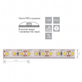 Светодиодная лента Feron LS613 120SMD(3528) 9.6/m 12V IP65 5000х10х3.8mm белый