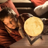 Светильник ночник ЭРА NLED-491-1W-W белый, Подзарядка от USB