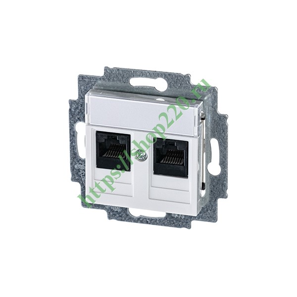 2CHH295118A6003 Розетка информационная ABB Levit двойная 2хRJ45 категория 5e белый (5014H-A51018 03W) фото 2