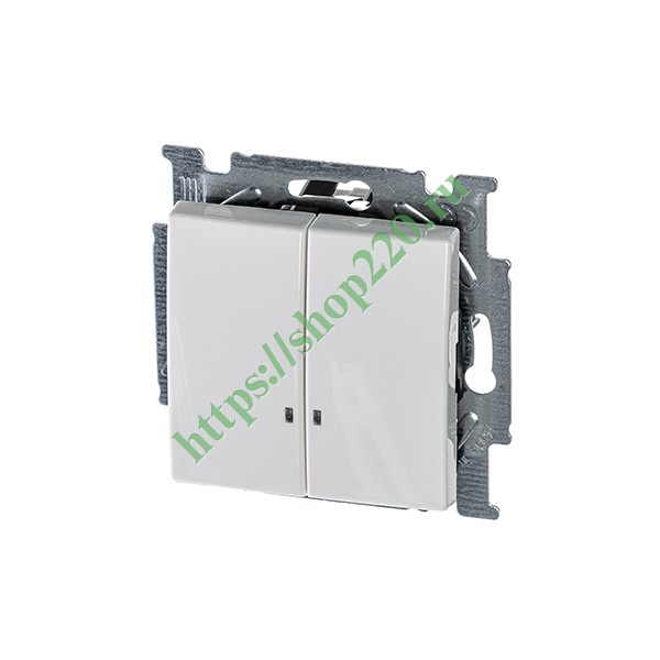 2CKA001012A2154 Выключатель двухклавишный с подсветкой ABB Basic 55 альпийский белый (2006/5 UCGL-94) фото 2
