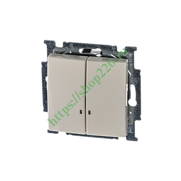 2CKA001012A2157 Выключатель двухклавишный с подсветкой ABB Basic 55 слоновая кость (2006/5 UCGL-92) (бежевый) фото 2