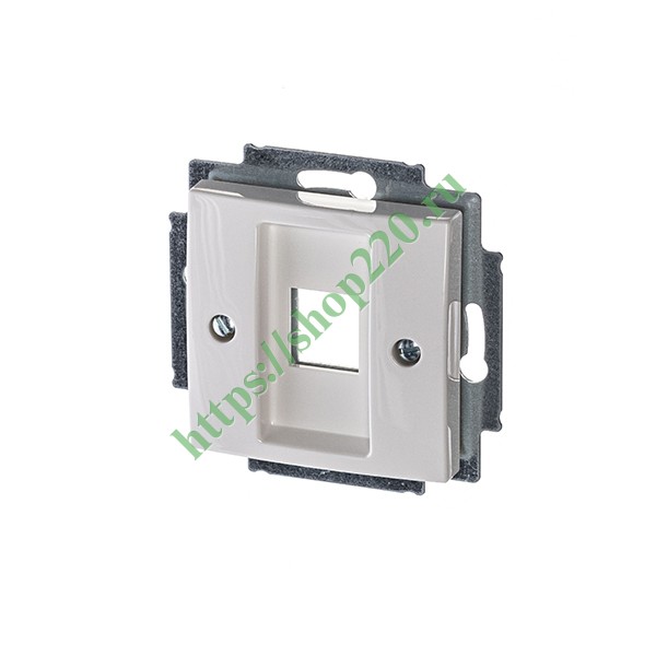 2CKA001753A0213 Накладка для коммуникационных розеток ABB 0210, 0211 и 0219, Basic 55 альпийский белый (2561-94) фото 2
