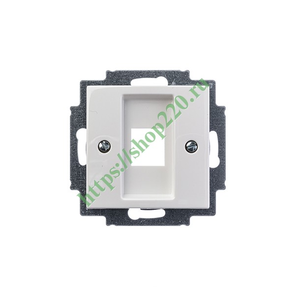 2CKA001753A0213 Накладка для коммуникационных розеток ABB 0210, 0211 и 0219, Basic 55 альпийский белый (2561-94) фото 3
