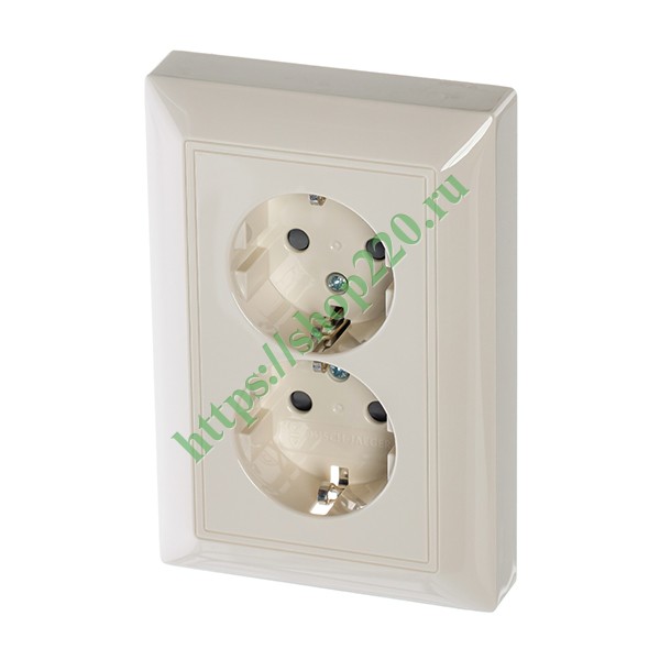 2CKA002021A0379 Розетка двойная с заземлением с защитными шторками ABB Basic 55 слоновая кость (20-02 EUJKS-92) (бежевый) фото 2