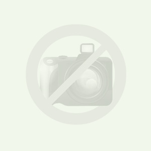 Прожектор светодиодный FL 50 P 41W/27W 3000K 5500Lm 100° IP66 c регулируемой мощностью белый