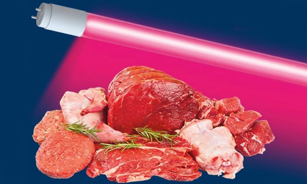 Лампа светодиодная для гастрономии LED T8 с цоколем G13