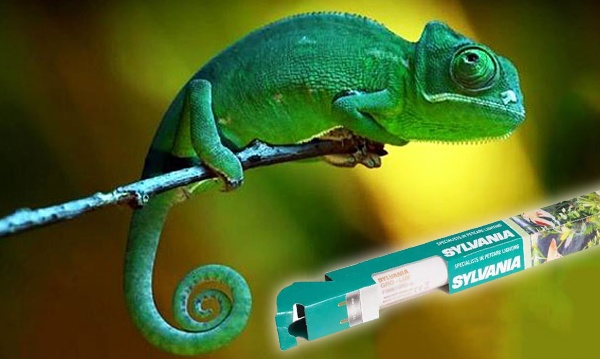 Люминесцентные лампы для рептилий и животных T8 d26mm с цоколем G13