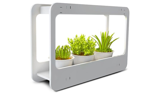 Светодиодные бытовые светильники для растений