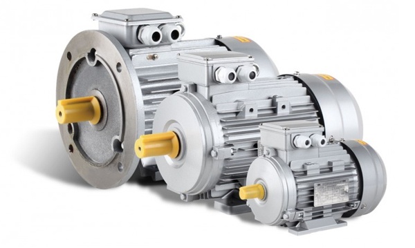 Электродвигатели асинхронные трехфазные (лапы)