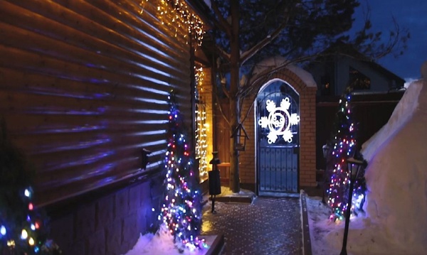 Гирлянда Бахрома серия Professional IP65-67