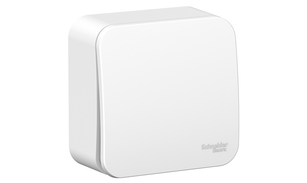 Розетки и выключатели Blanca Systeme Electric белые открытой установки (со стальной пластиной)