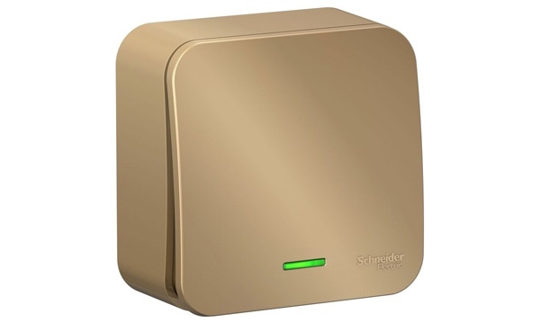 Розетки и выключатели Blanca Systeme Electric титан открытой установки (с пластиковой пластиной)