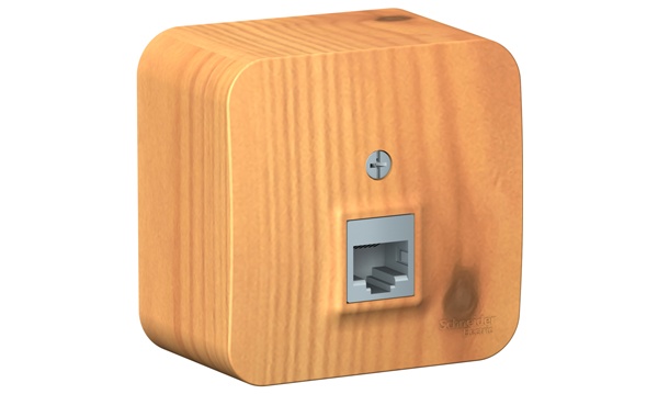 Розетки и выключатели Blanca Systeme Electric ясень открытой установки (с пластиковой пластиной)