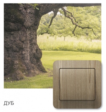 Механизмы в сборе с рамкой Glossa дерево дуб