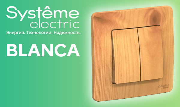 Розетки и выключатели скрытой установки Blanca Systeme Electric ясень